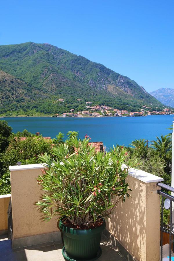 Apartments Jovanovic - Alkima Kotor Exteriör bild