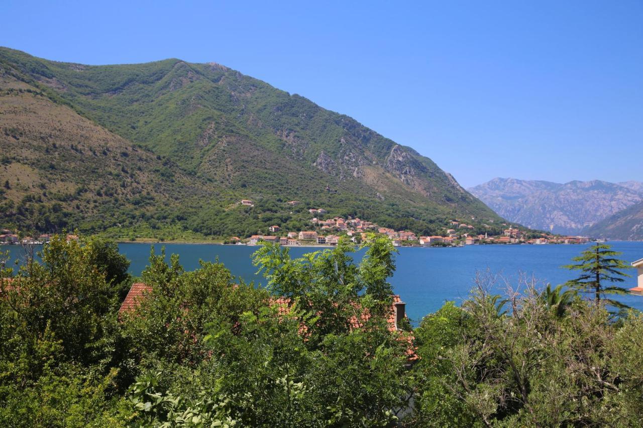 Apartments Jovanovic - Alkima Kotor Exteriör bild