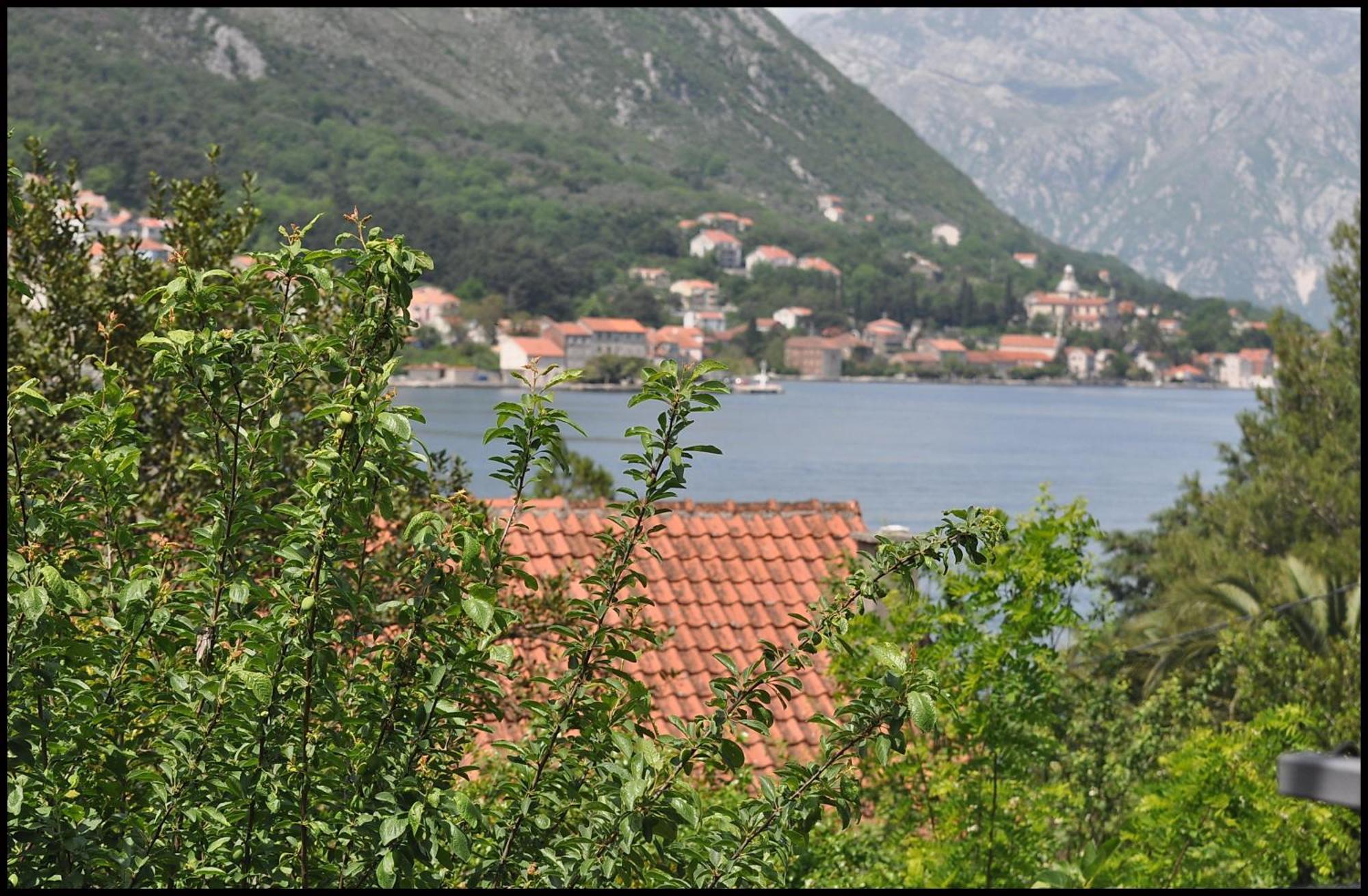 Apartments Jovanovic - Alkima Kotor Exteriör bild